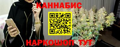 индика Донецк