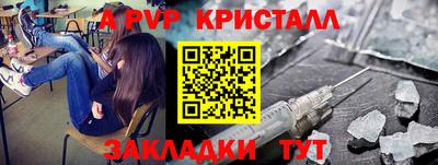 амф Донской