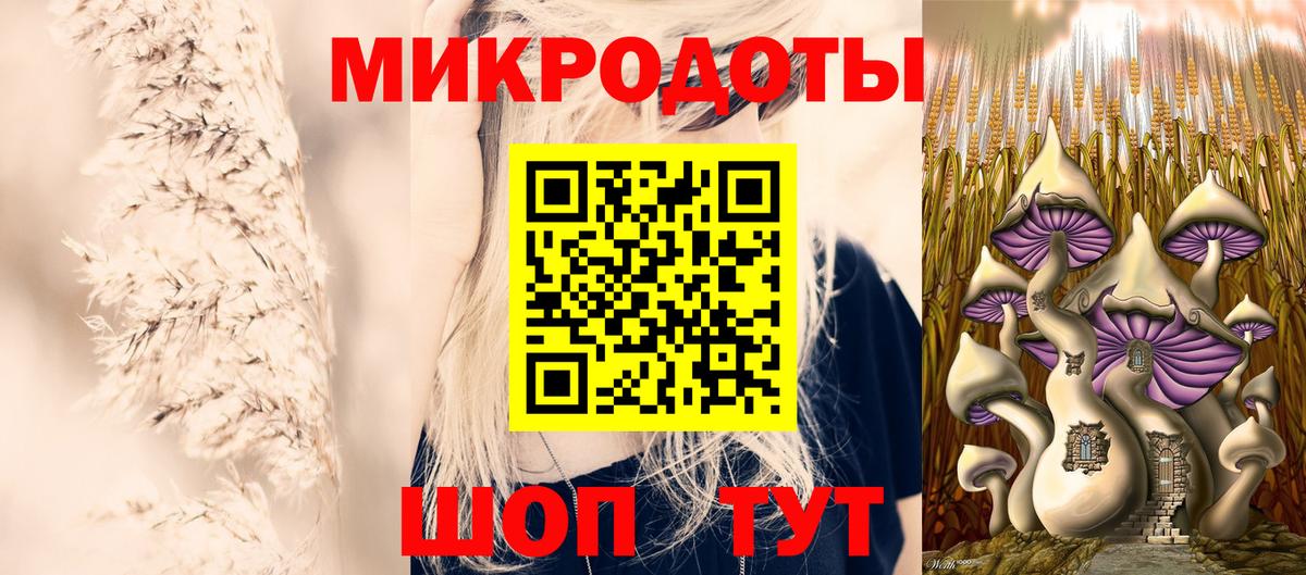 Галлюциногенные грибы Psilocybe  Вход с VPN  Железногорск  Псилоцибиновые грибы прущие грибы 